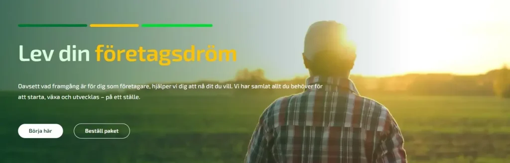 Fortnox är ett väletablerat system i Sverige