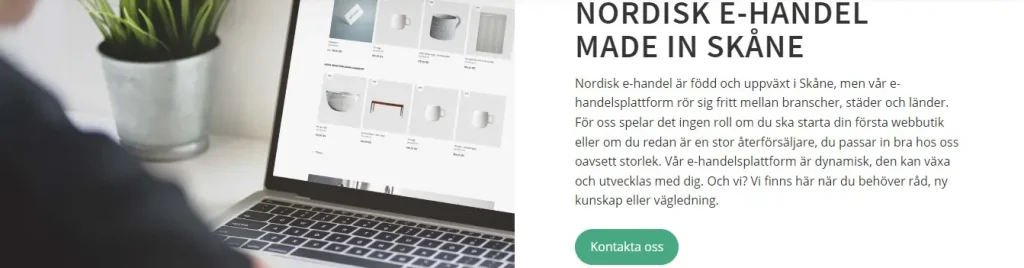 Så fungerar Nordisk e-handel